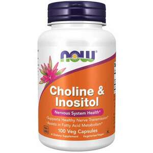 NOW Foods Choline & Inositol 500 mg obraz