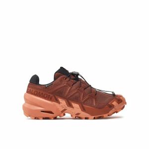Dámská běžecká trailová obuv SALOMON-Speedcross 6 GTX W rum raisin/barn red/canyon clay obraz