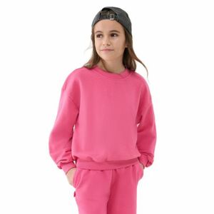 Dívčí mikina 4F JUNIOR-SWEATSHIRT F1479-54S-PINK obraz