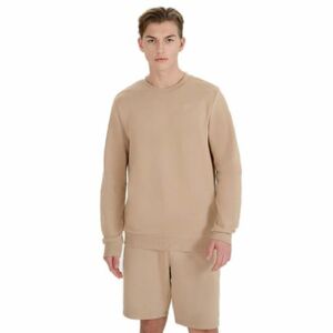 Pánská mikina 4F-SWEATSHIRT M1622-83S-BEIGE obraz