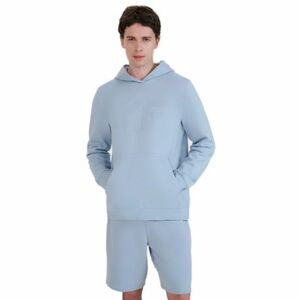 Pánská mikina s kapucí 4F-SWEATSHIRT M1621-34S-LIGHT BLUE obraz