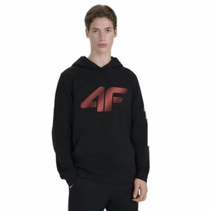Pánská mikina s kapucí 4F-SWEATSHIRT M1766-020S-DEEP BLACK obraz