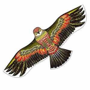 RULYT Létající drak model 14 130x70cm obraz