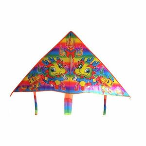 RULYT Létající drak model 15 135x75cm obraz