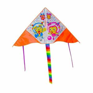 RULYT Létající drak model 16 160x80cm obraz