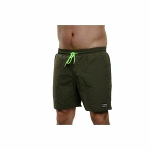 Pánské plavky AUTHORITY-SW-COLORAS green obraz