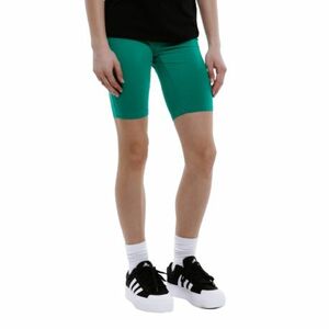 Dívčí legíny AUTHORITY-TS-LEGGINGS G green obraz