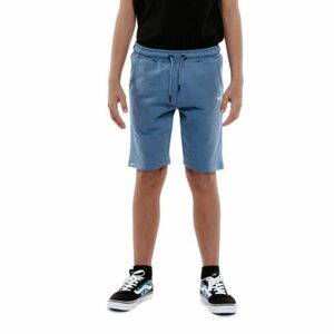 Chlapecké teplákové kraťasy AUTHORITY-TS-KILTO B blue obraz
