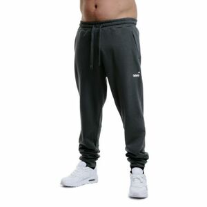 Pánské tepláky AUTHORITY-TP-VAYP grey obraz