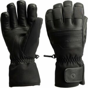Lyžařské rukavice BLIZZARD-Vertex ski gloves, black obraz