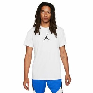 Pánské triko s krátkým rukávem NIKE-JORDAN M J JD AIR STRETCH SS CREW-410-Blue obraz