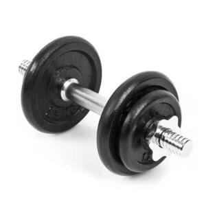 Sedco Činka nakládací 10 kg černá ocel, chrom tyčka obraz