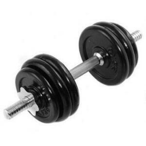 Sedco Činka nakládací chrom 15 kg obraz