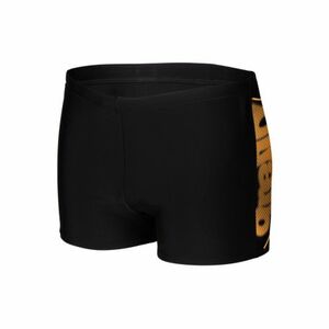 Pánské plavecké boxerky ARENA-MENS BRIGHT GLARE SWIM SHORT obraz