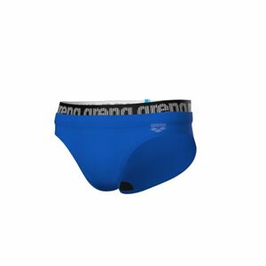 Pánské plavecké plavky ARENA-MENS ELASTIC LOGO SWIM BRIEFS obraz