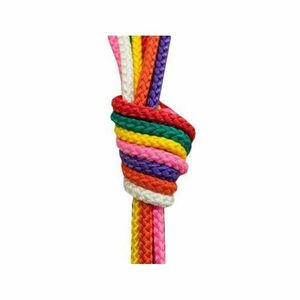 Sedco Gymnastické švihadlo 2, 8 m mix barev - vínová obraz