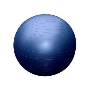 Sedco Gymnastický míč 65cm EXTRA FITBALL - Modrá obraz
