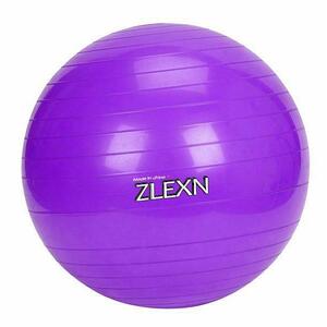 Sedco Gymnastický míč Yoga Ball 65 cm - Růžová obraz