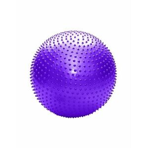 Sedco Gymnastický míč YOGA MASSAGE BALL 65 cm - modrá obraz