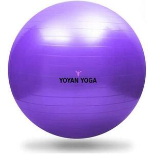 Sedco Gymnastický míč YOYAN Yoga Ball 75 cm - modrá obraz