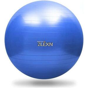 Sedco Gymnastický míč ZLEXN Yoga Ball 55 cm - modrá obraz