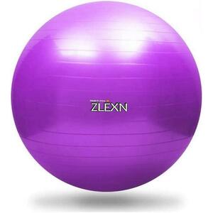 Sedco Gymnastický míč ZLEXN Yoga Ball 65 cm - růžová obraz