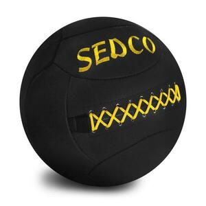 Sedco Míč na cvičení WALL BALL MB8007 - 8 kg obraz