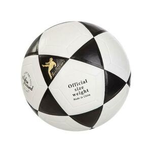 Sedco Míč nohejbal Official 5 - černá obraz