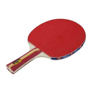 Sedco Pálka na stolní tenis PLUS A04 obraz