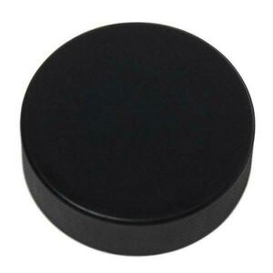 Sedco Puk Hokejový JUNIOR bez potisku obraz