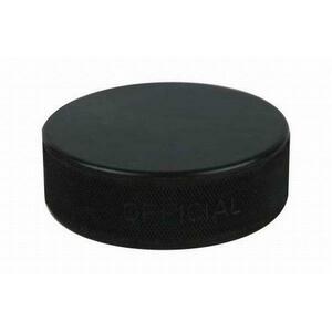 Sedco Puk Hokejový SENIOR bez potisku obraz