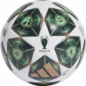 Fotbalový míč ADIDAS-UCL LGE BOX WHITE/SHAGRN/HIREGR obraz