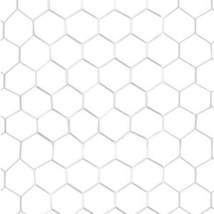 Sedco Síť kopaná 3x2 m - bílá obraz