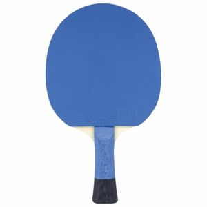 Stolní tenisová raketa TIBHAR-Pro BLUE Edition obraz