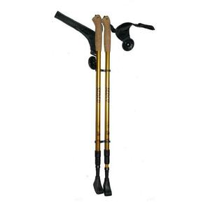 Sedco Trekové hole NORDIC WALKING ALU7075 65-140 cm - zlatá obraz