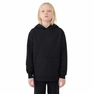 Chlapecká mikina se zipem 4F JUNIOR-SWEATSHIRT-JWMM00TSWSM1860-20S-BLACK obraz