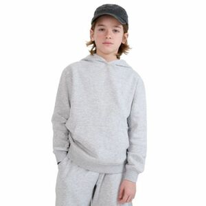 Chlapecká mikina se zipem 4F JUNIOR-SWEATSHIRT-JWMM00TSWSM1860-25M-GREY obraz