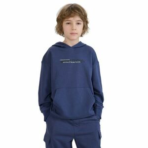 Chlapecká mikina s kapucí 4F JUNIOR-SWEATSHIRT-JWSS25TSWSM1511-22S-GREY obraz