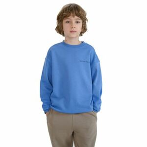 Chlapecká mikina 4F JUNIOR-SWEATSHIRT-JWSS25TSWSM1713-34S-BLUE obraz