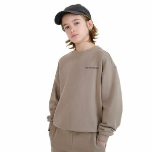 Chlapecká mikina 4F JUNIOR-SWEATSHIRT-JWSS25TSWSM1713-83S-BEIGE obraz