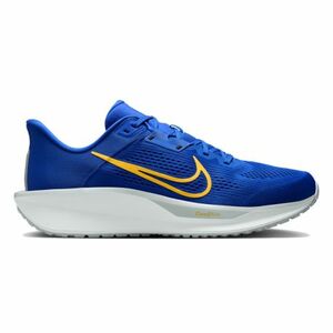 Pánská sportovní obuv (tréninková) NIKE-Quest 6 M royal/laser orange/wolf grey/white obraz