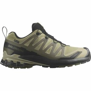 Pánská běžecká trailová obuv SALOMON-XA Pro 3D V9 GTX M dried herb/black/olive night obraz