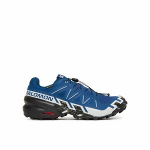 Pánská běžecká trailová obuv SALOMON-Speedcross 6 GTX M poseidon/black/lunar rock obraz