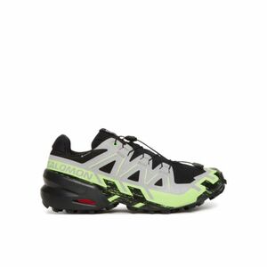 Pánská běžecká trailová obuv SALOMON-Speedcross 6 GTX M black/alloy/green gecko obraz