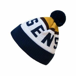 Sensor Snow modrá/bílo/hnědá čepice obraz