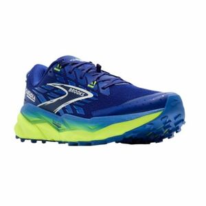 Pánská běžecká trailová obuv BROOKS-Cascadia 19 M blue obraz