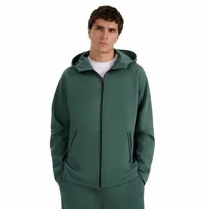 Pánská mikina se zipem 4F-SWEATSHIRT M1865-WAW25TSWSM1865-41S-GREEN obraz