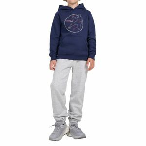 Chlapecké zateplené tepláky 4F JUNIOR-TROUSERS CAS M1510-4FJWMM00TTROM1510-25M-GREY MELANGE obraz