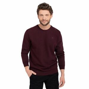 Pánská mikina VOLCANO-B-KIV-403-BURGUNDY obraz