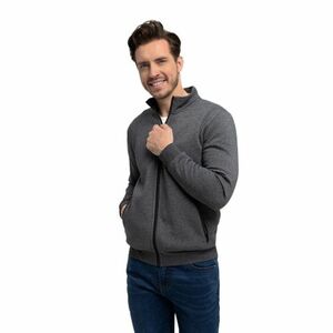 Pánská mikina se zipem VOLCANO-B-SWED-701M-Grey MEL obraz